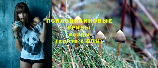альфа пвп Медвежьегорск