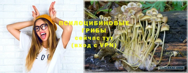 дживик Медногорск