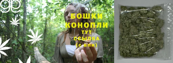 альфа пвп Медвежьегорск