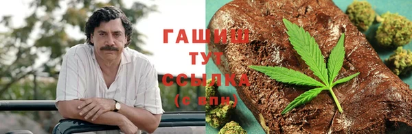 альфа пвп Медвежьегорск