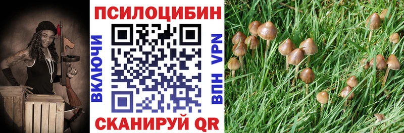 Галлюциногенные грибы Psilocybe  Янаул 